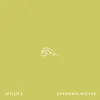 Jaylen B - Unknown Waters - Single